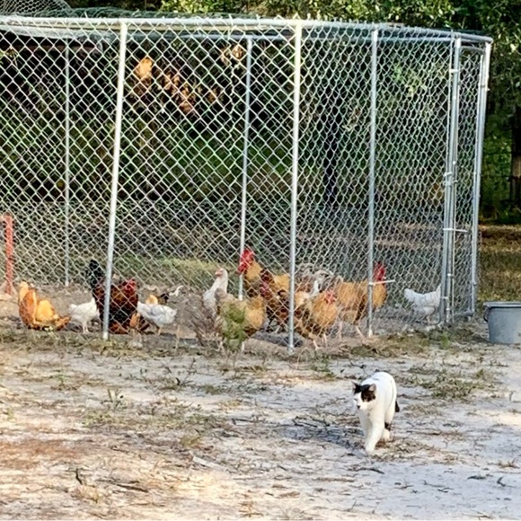 Meet your Posher, Cameron - Picture 14 of 16